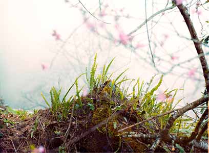 璽標(biāo)標(biāo)準(zhǔn)物質(zhì)中心